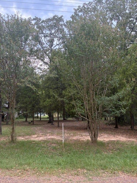 0.26 acres in Henderson County - photo 2