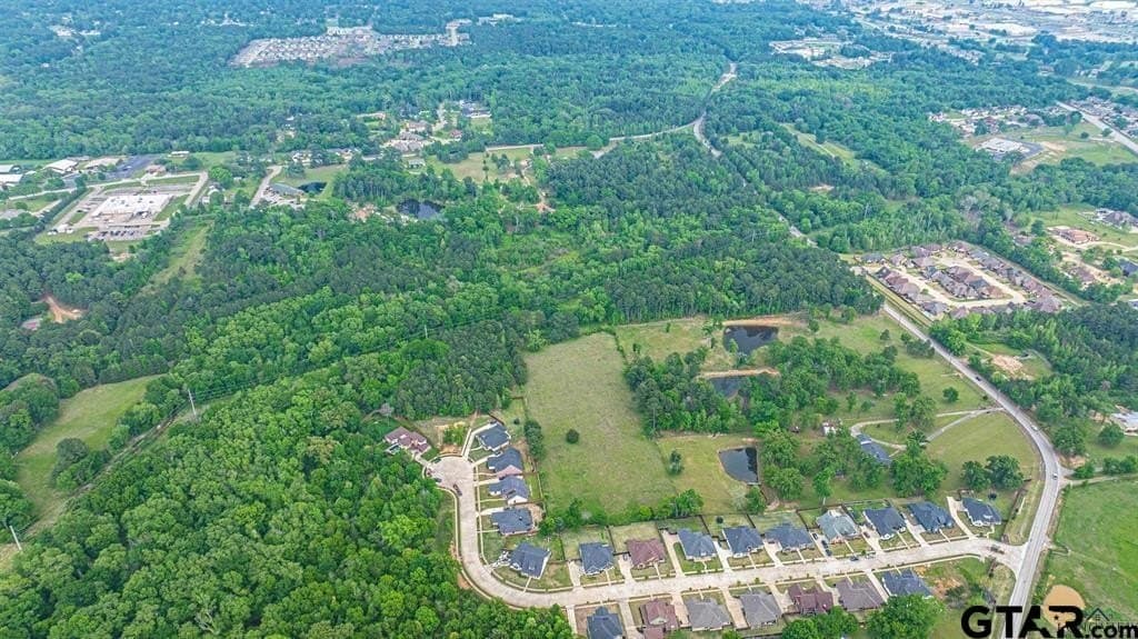 16.5 acres in Gregg County - photo 11
