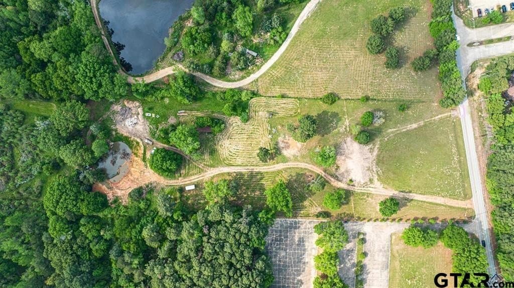 16.5 acres in Gregg County - photo 7