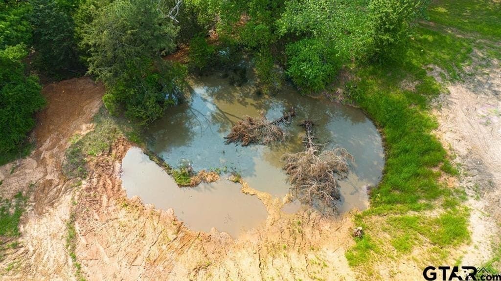 16.5 acres in Gregg County - photo 16