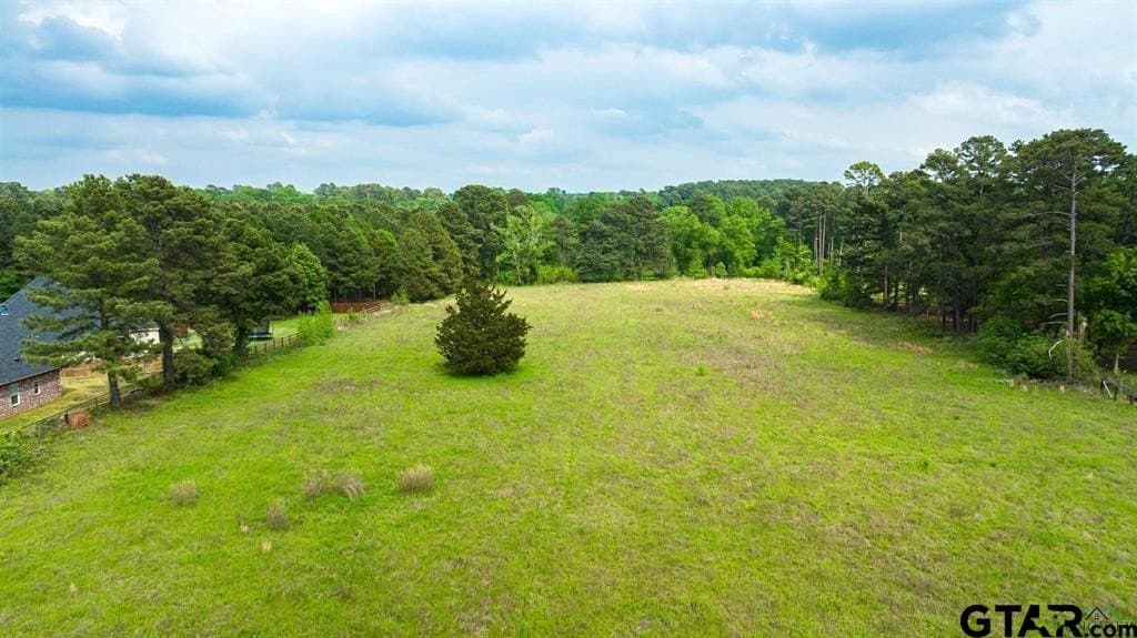 16.5 acres in Gregg County - photo 4