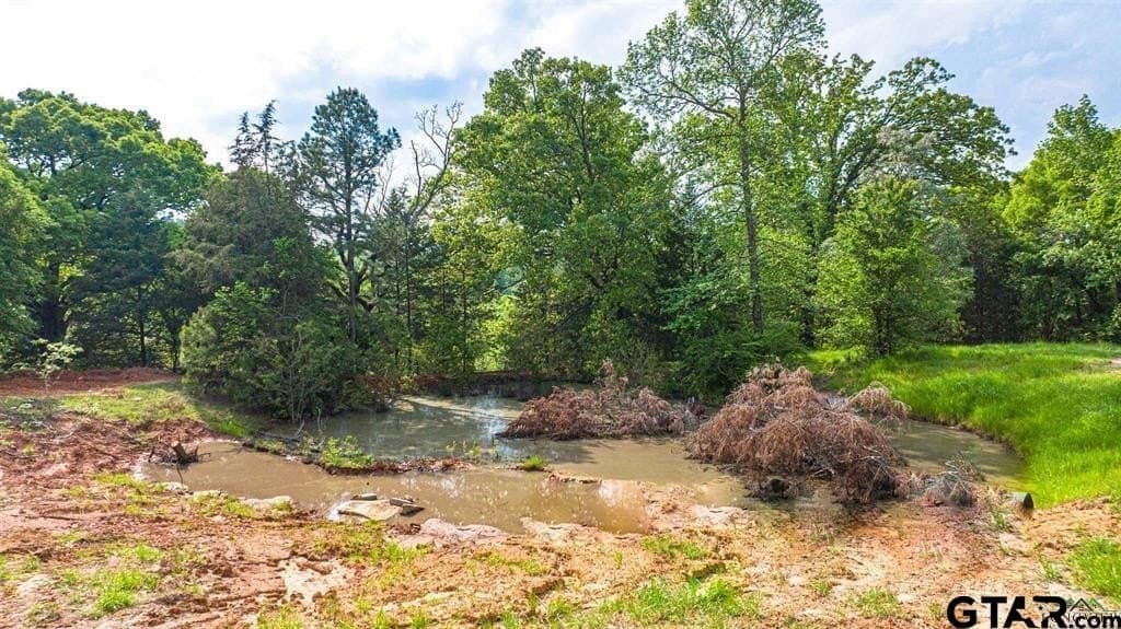 16.5 acres in Gregg County - photo 15