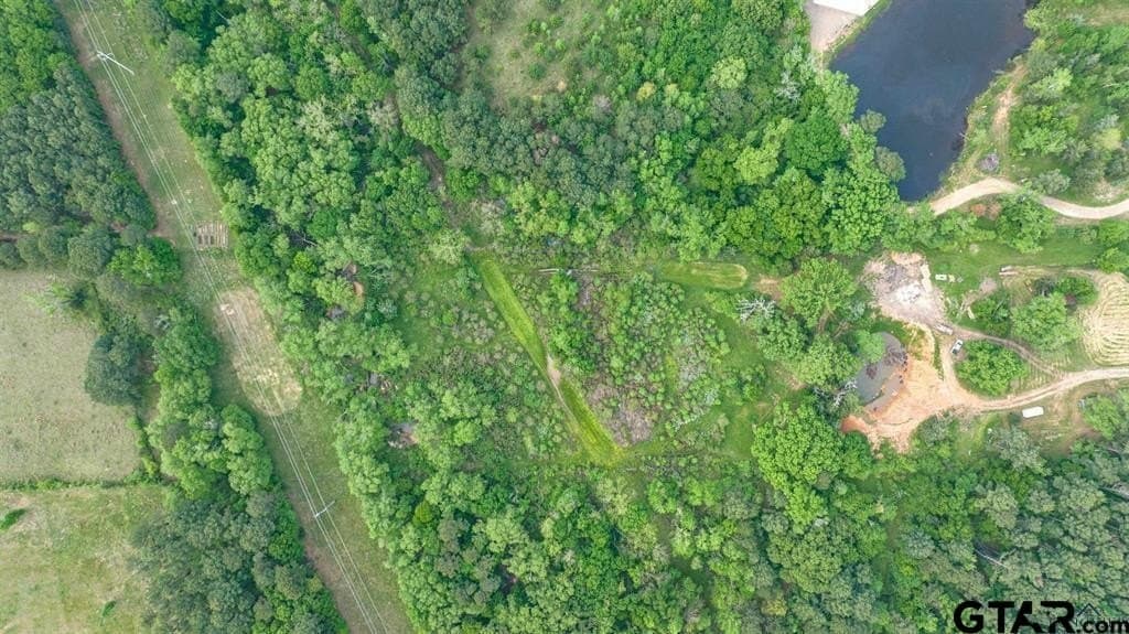 16.5 acres in Gregg County - photo 6