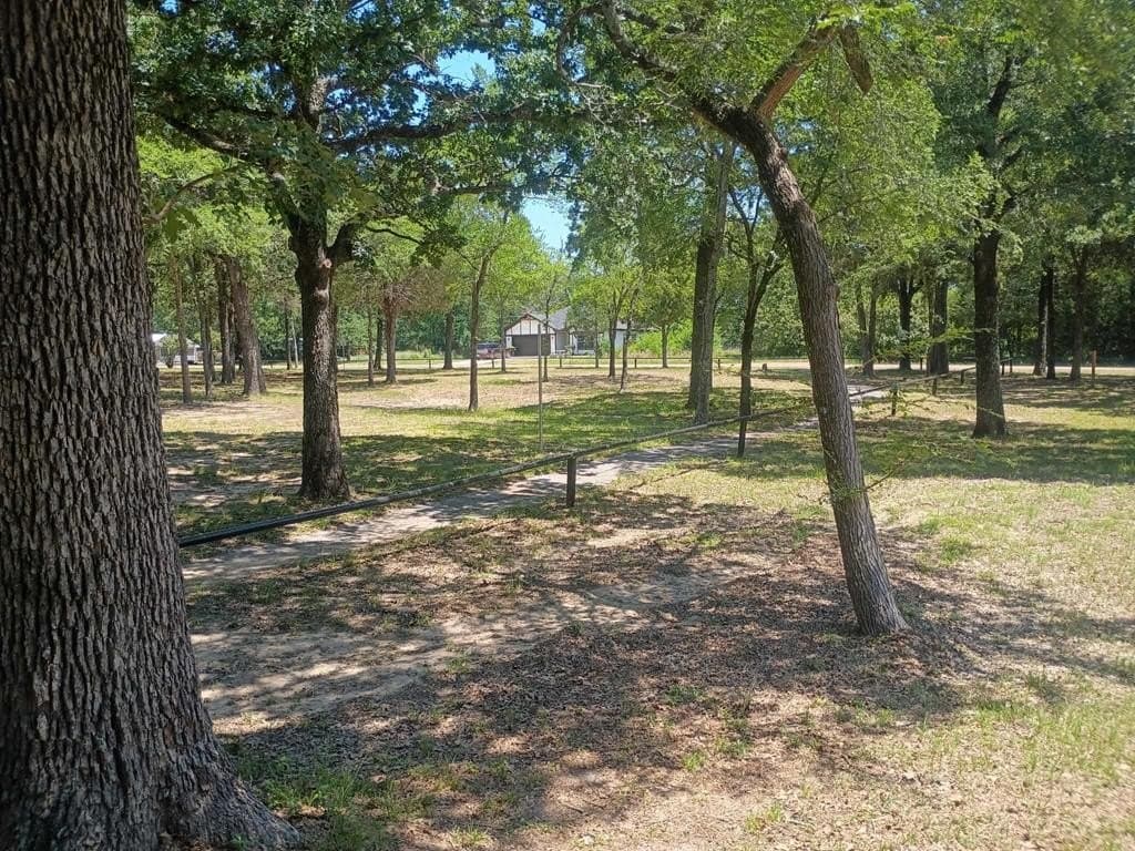 0 acres in Henderson County - photo 6