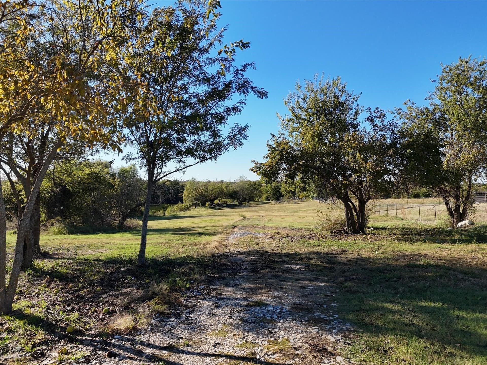 11.31 acres in Collin County - photo 2