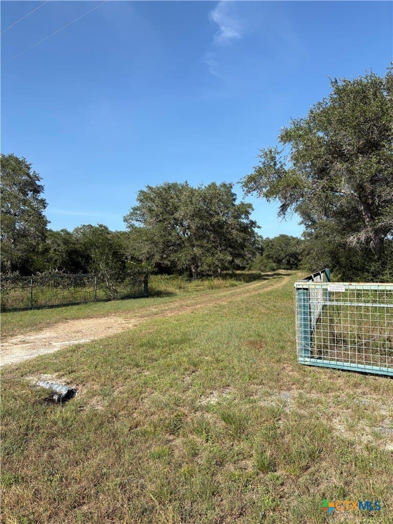 38.25 acres in Goliad County - photo 13