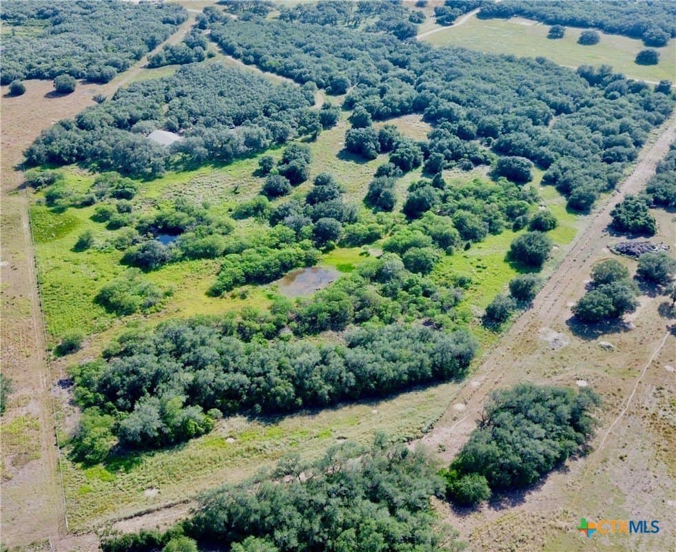 38.25 acres in Goliad County featured view