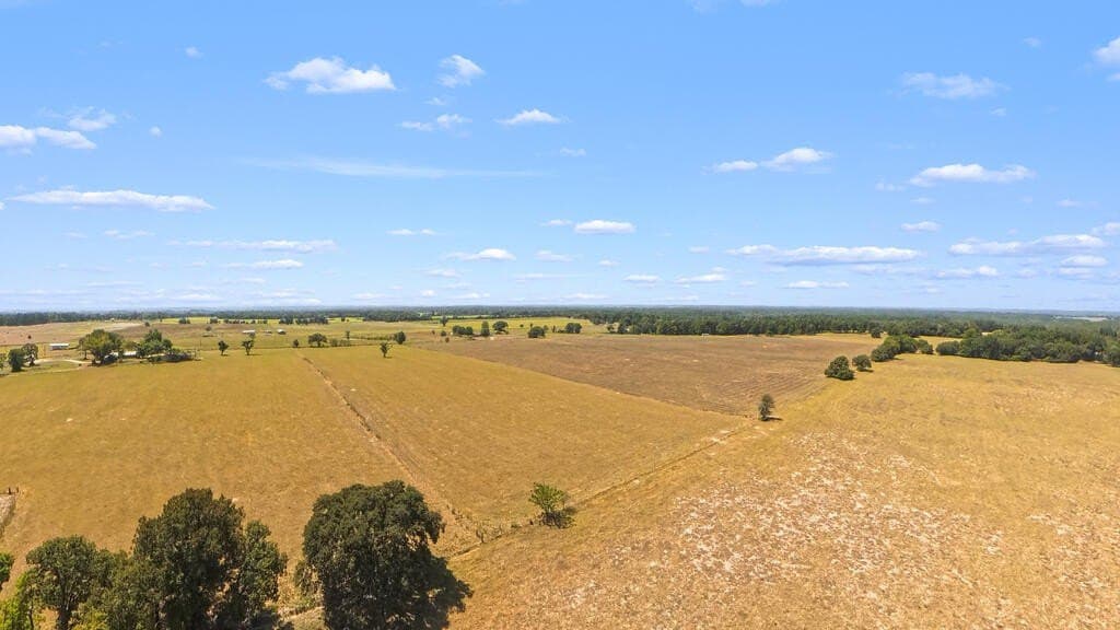 28.12 acres in ANDERSON County - photo 9