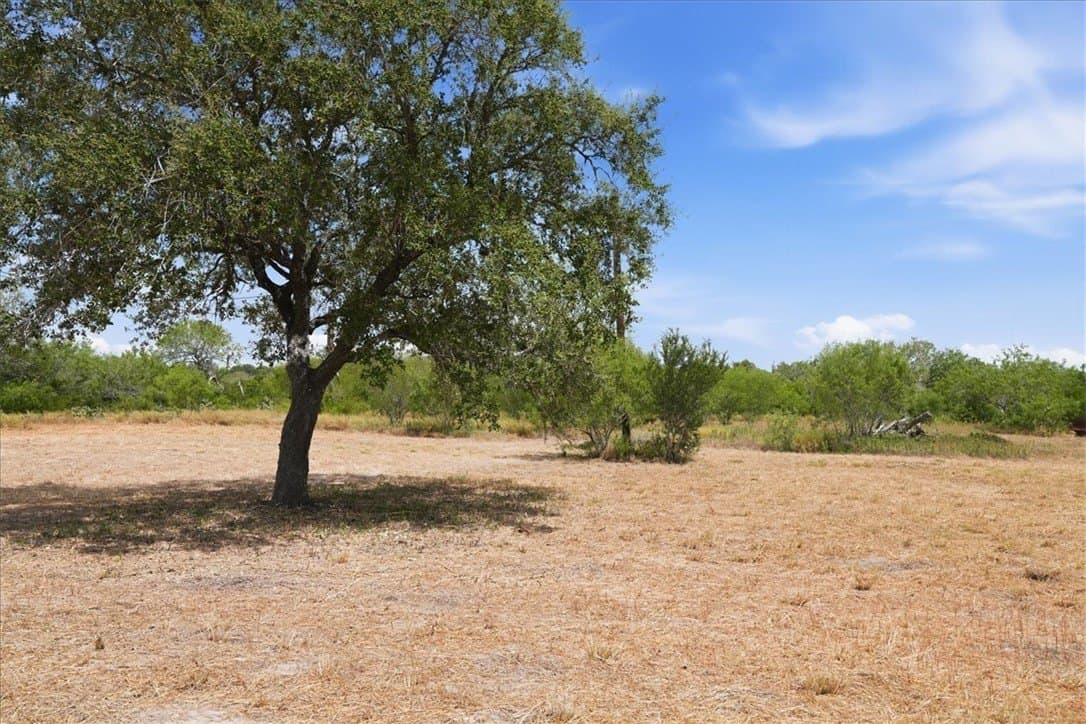 2.75 acres in Live Oak County - photo 10