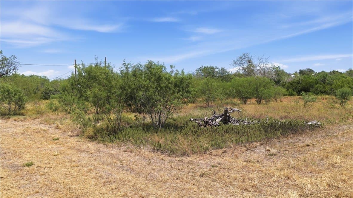 2.75 acres in Live Oak County - photo 13