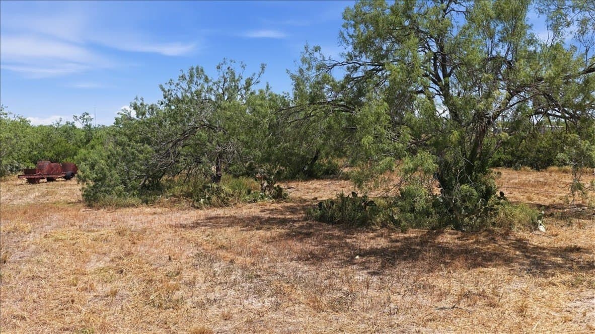 2.75 acres in Live Oak County - photo 14