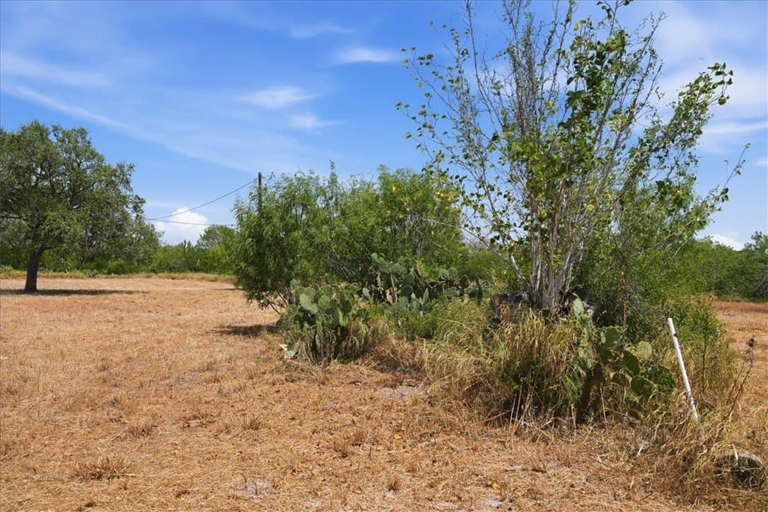 2.75 acres in Live Oak County - photo 9