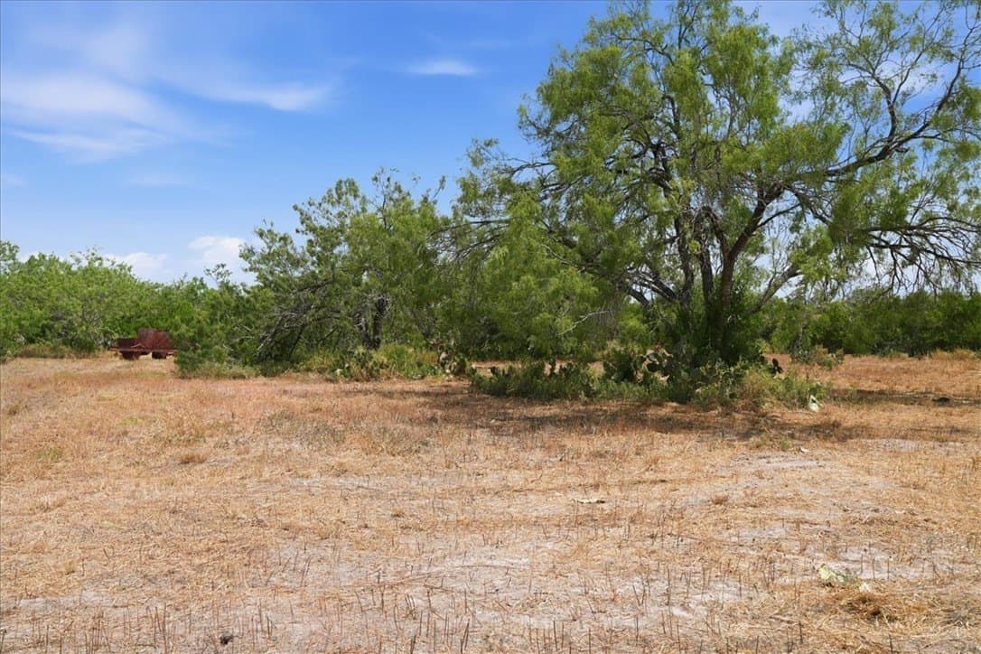 2.75 acres in Live Oak County - photo 11