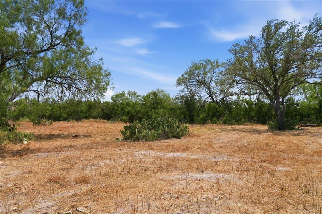 2.75 acres in Live Oak County - photo 12