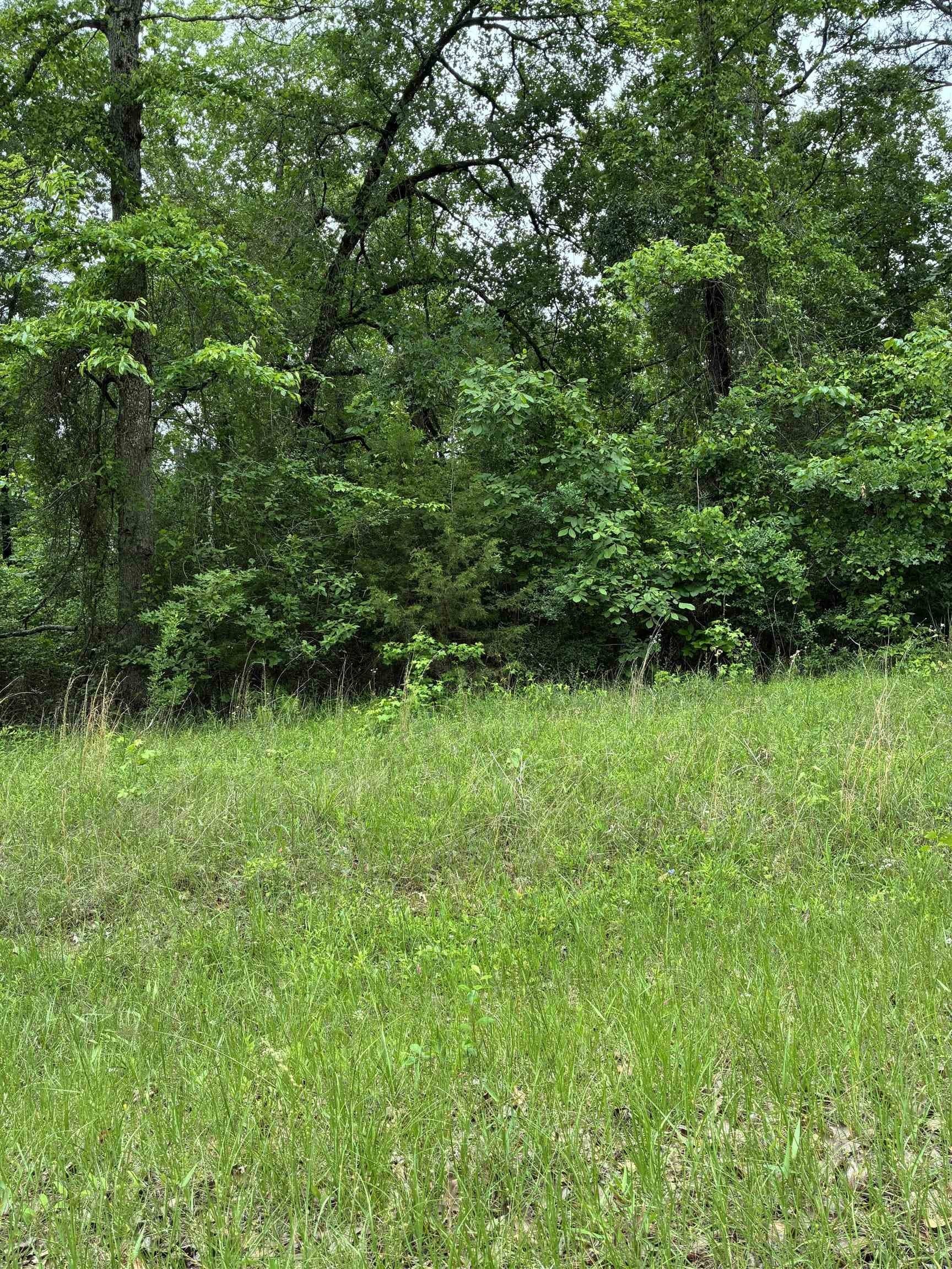 0.13 acres in Texas County gallery image 2