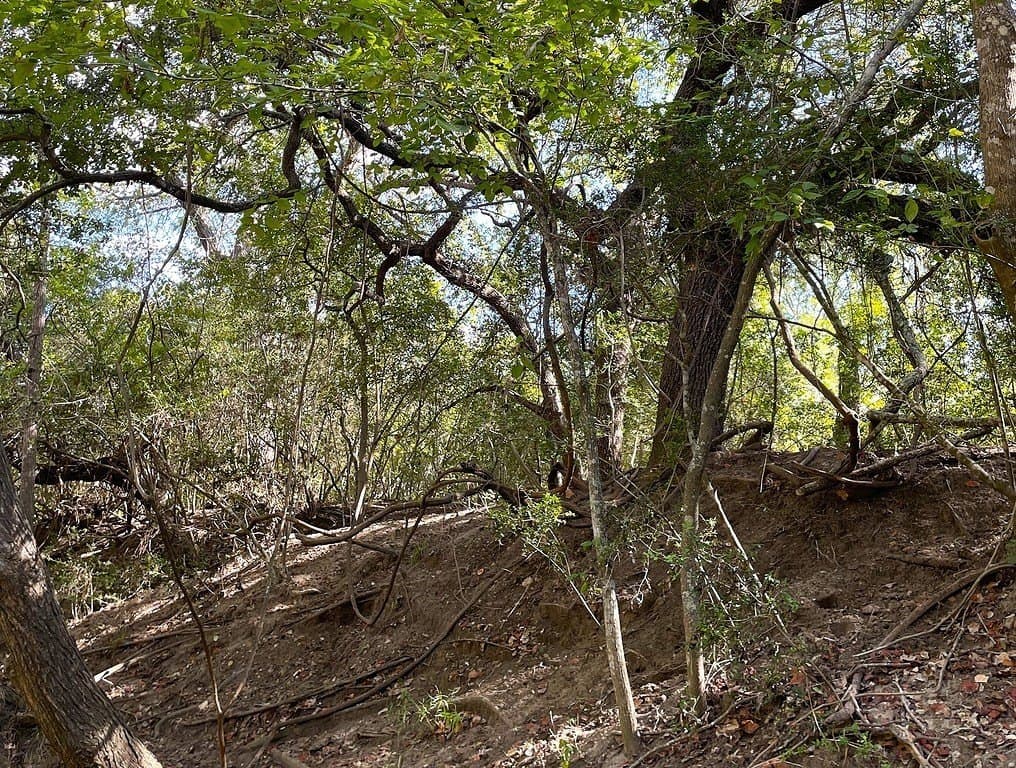 13.97 acres in Lavaca County - photo 5