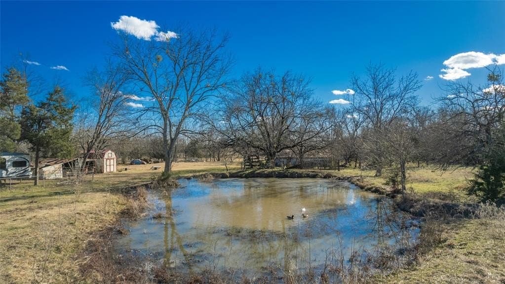 71.9 acres in Hopkins County gallery image 4