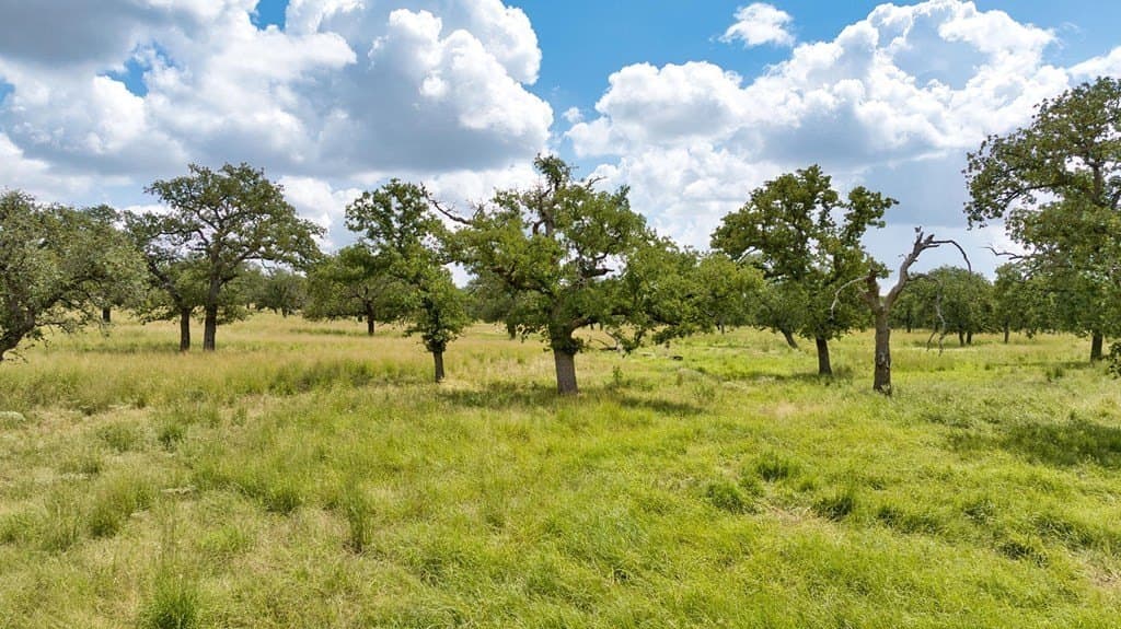 21.45 acres in San Saba County - photo 30