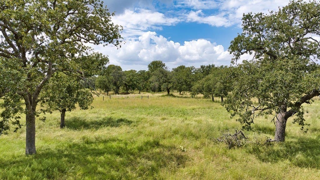 21.45 acres in San Saba County - photo 29