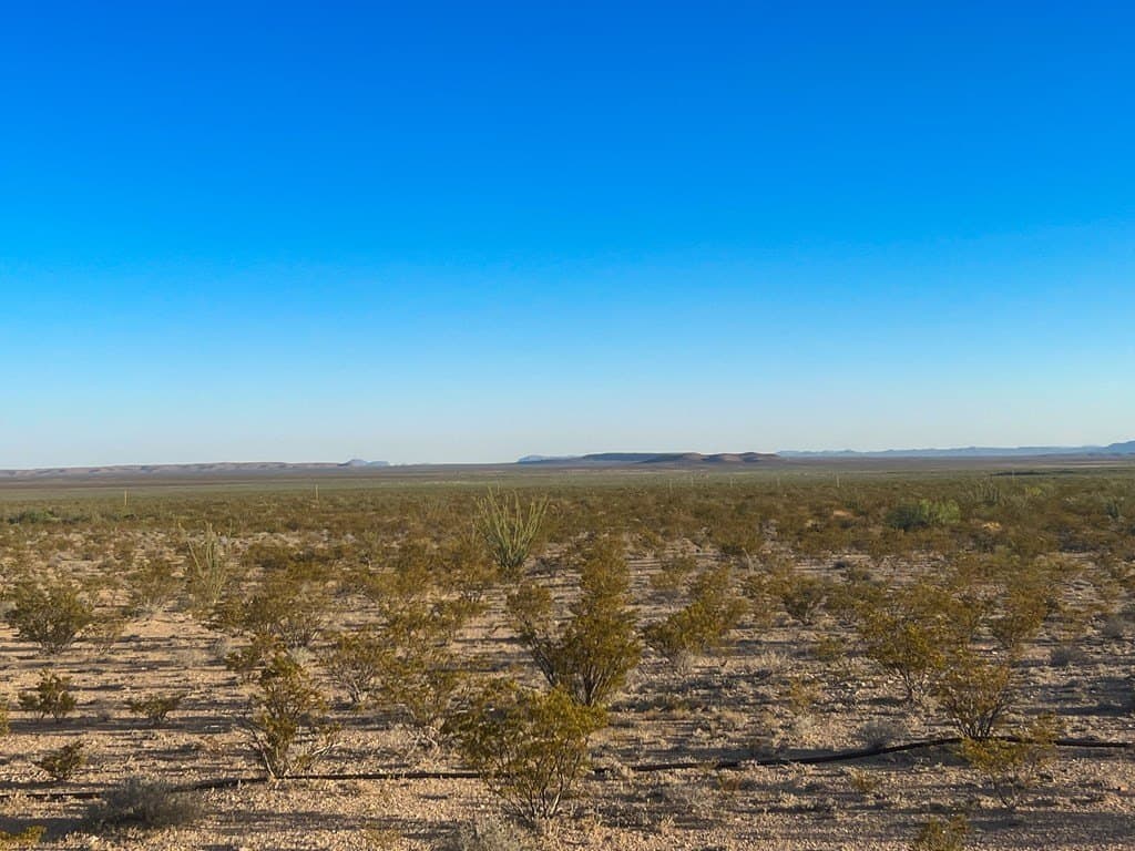 80.09 acres in Brewster County - photo 9