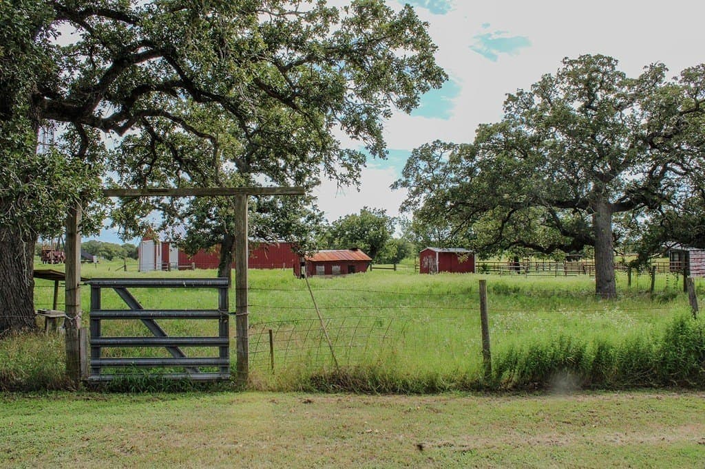 54 acres in Lee County gallery image 4