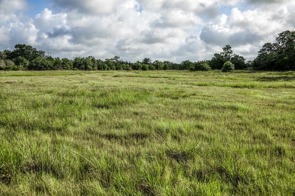 10.19 acres in Fayette County - photo 11