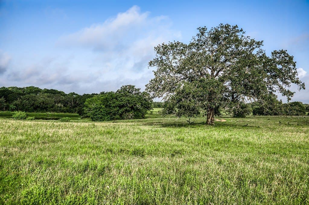 10.19 acres in Fayette County - photo 2