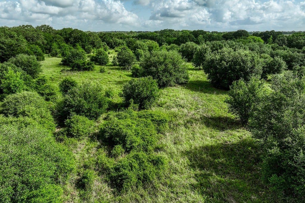 10.19 acres in Fayette County - photo 13