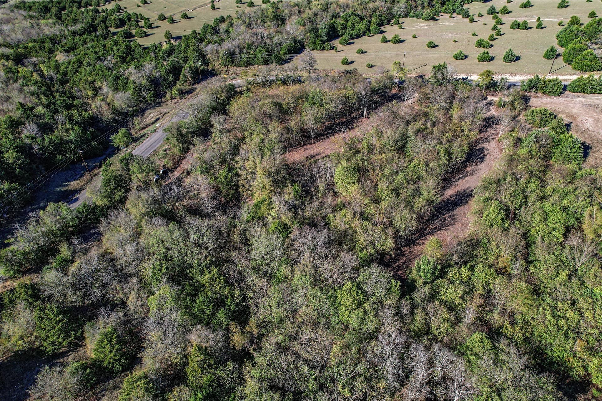 1.54 acres in Collin County - photo 8