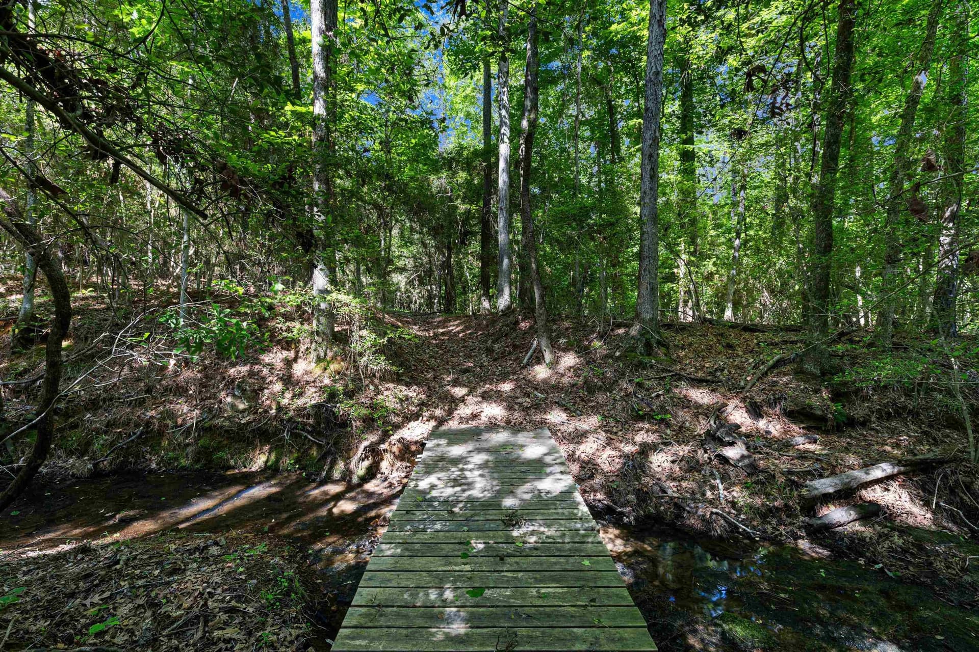 15.3 acres in Gregg County - photo 41