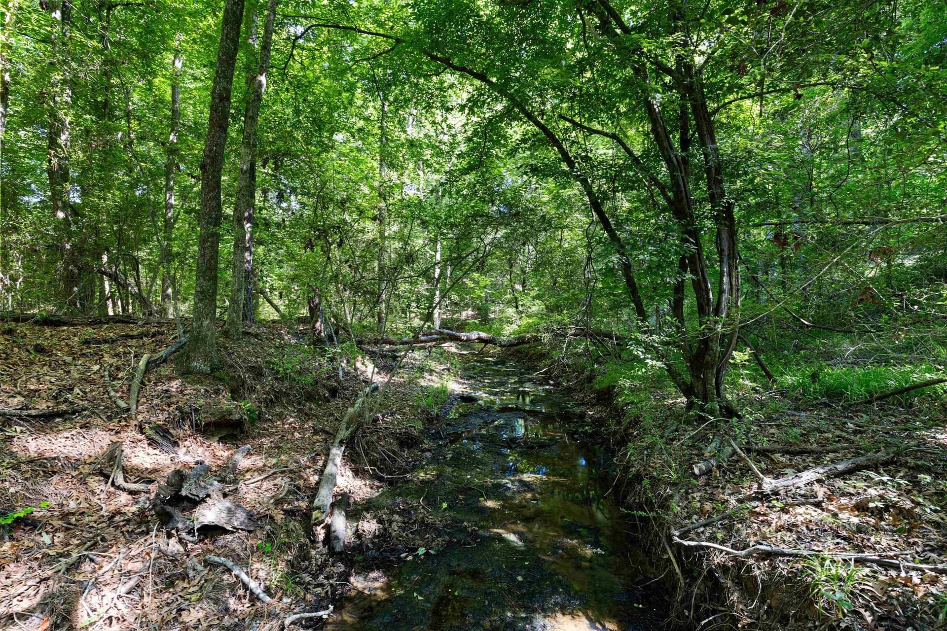 15.3 acres in Gregg County - photo 42