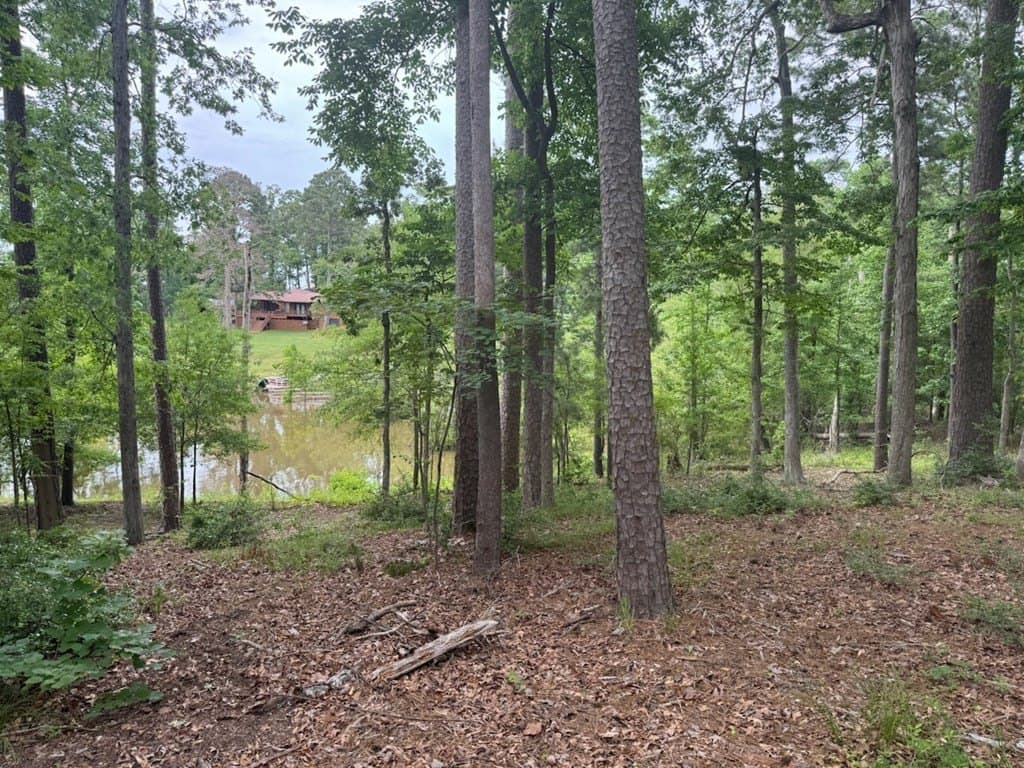 0.64 acres in Texas County gallery image 2