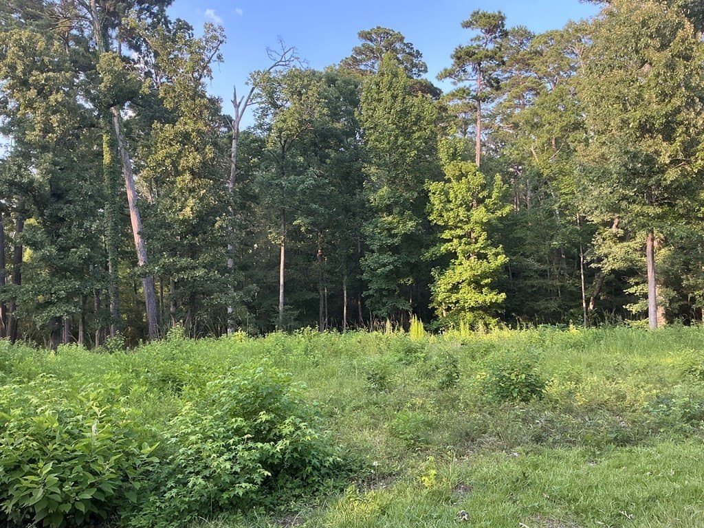 0.64 acres in Texas County - photo 10