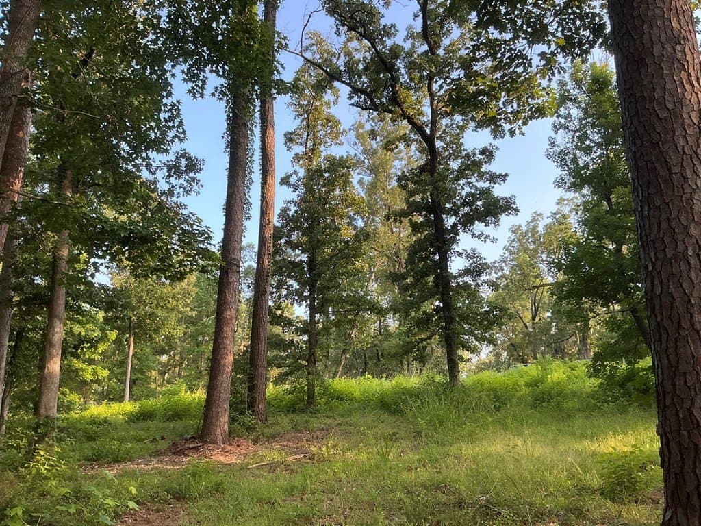 0.64 acres in Texas County - photo 8