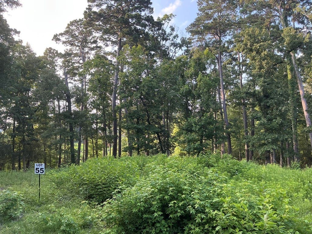 0.64 acres in Texas County - photo 11