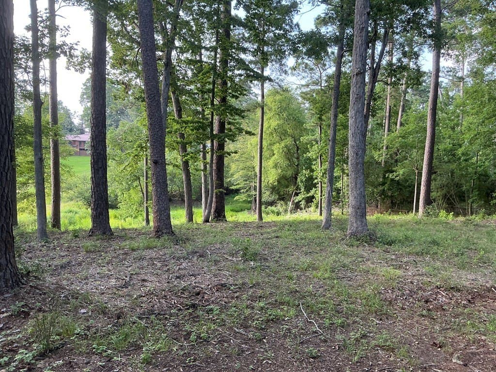 0.64 acres in Texas County featured view