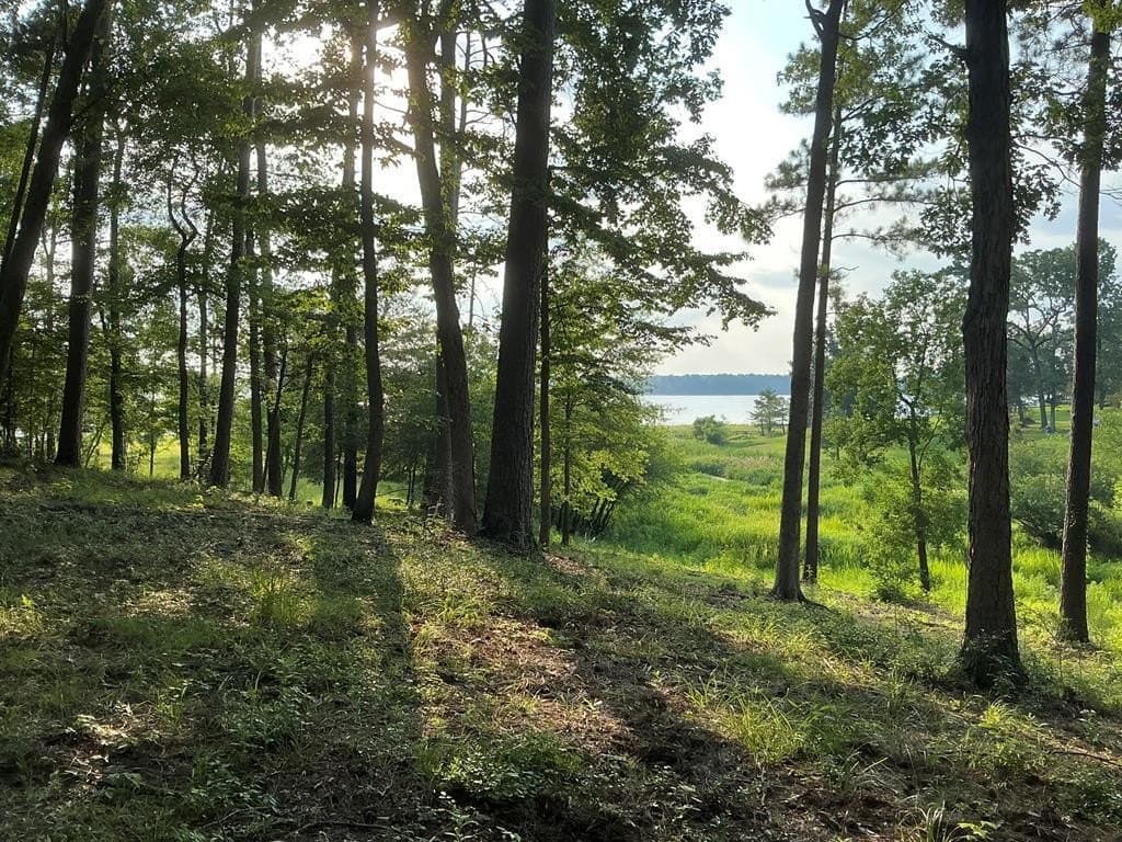 0.64 acres in Texas County gallery image 3