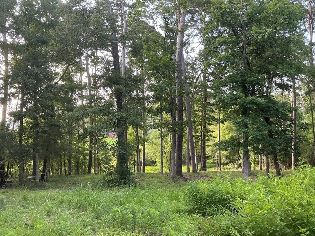 0.64 acres in Texas County gallery image 4