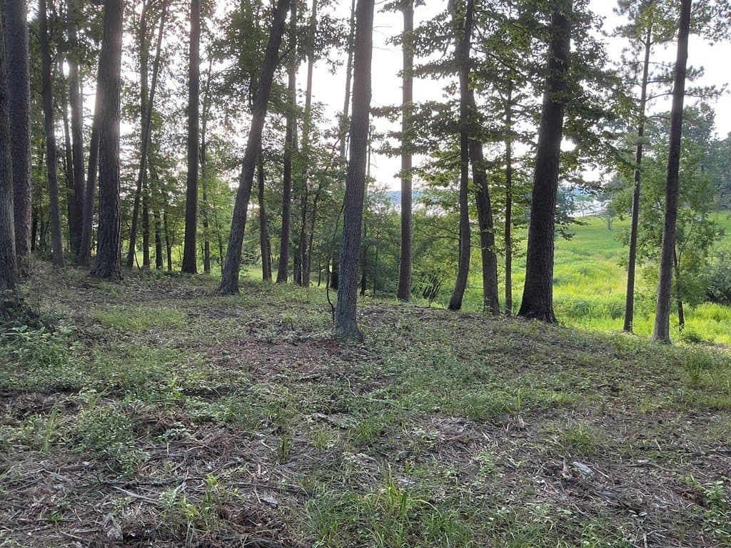 0.64 acres in Texas County - photo 6
