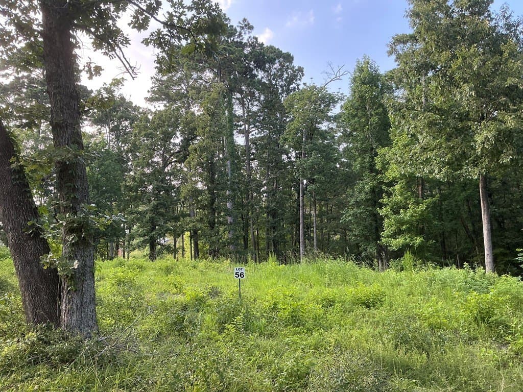 0.64 acres in Texas County - photo 12