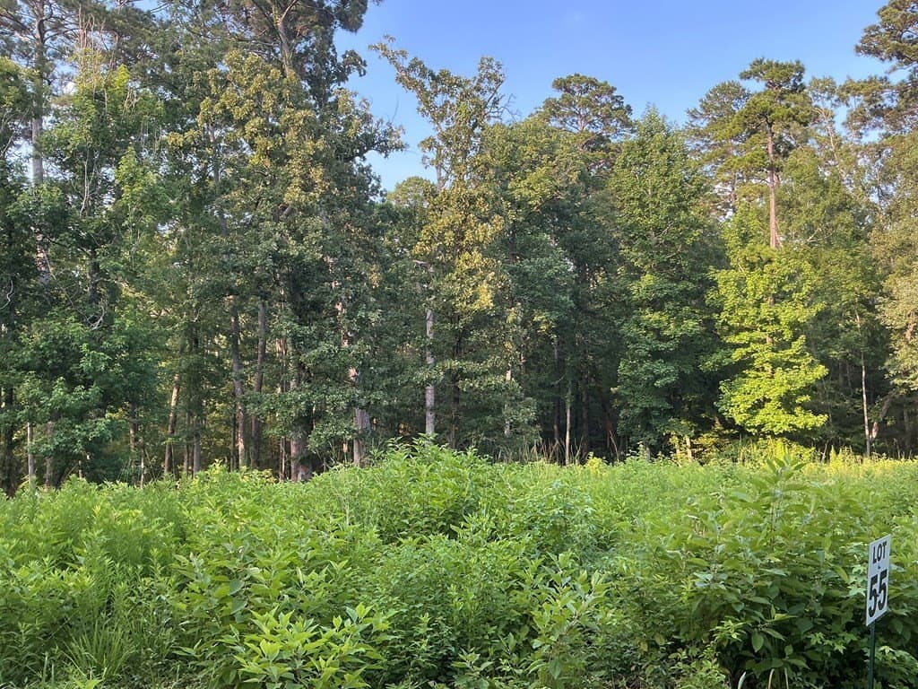 0.64 acres in Texas County - photo 9