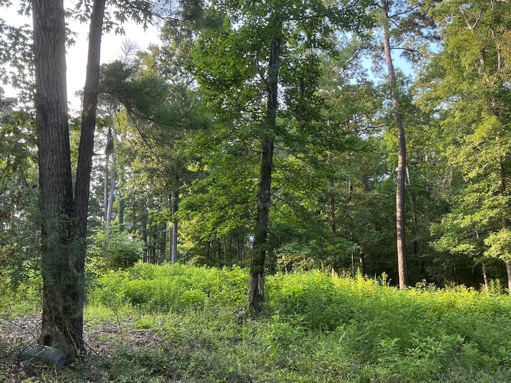0.64 acres in Texas County - photo 13