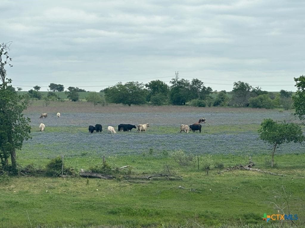 167.2 acres in Bell County featured view