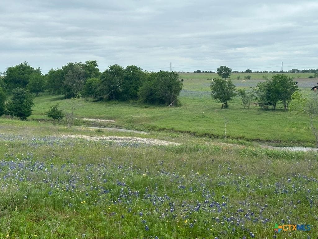 167.2 acres in Bell County gallery image 3
