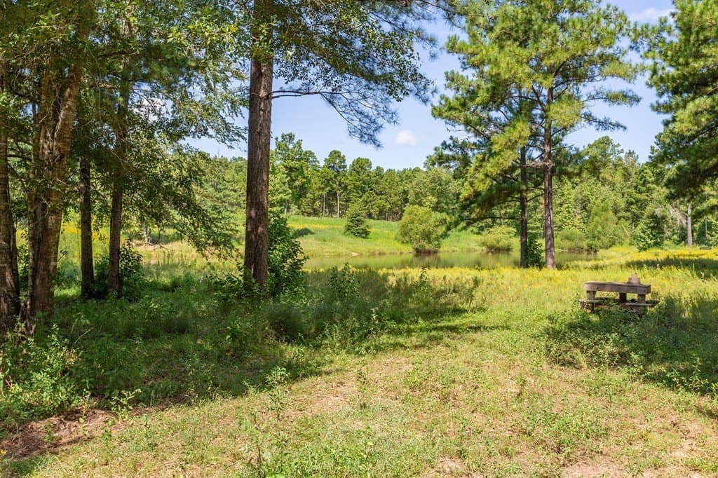 15 acres in Texas County - photo 47