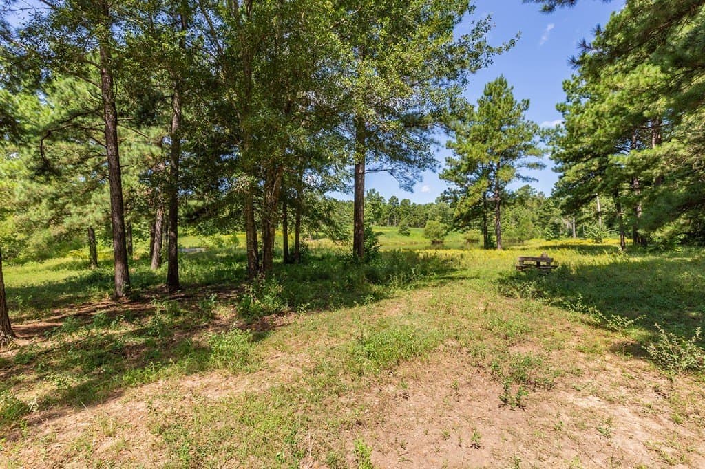 15 acres in Texas County - photo 48