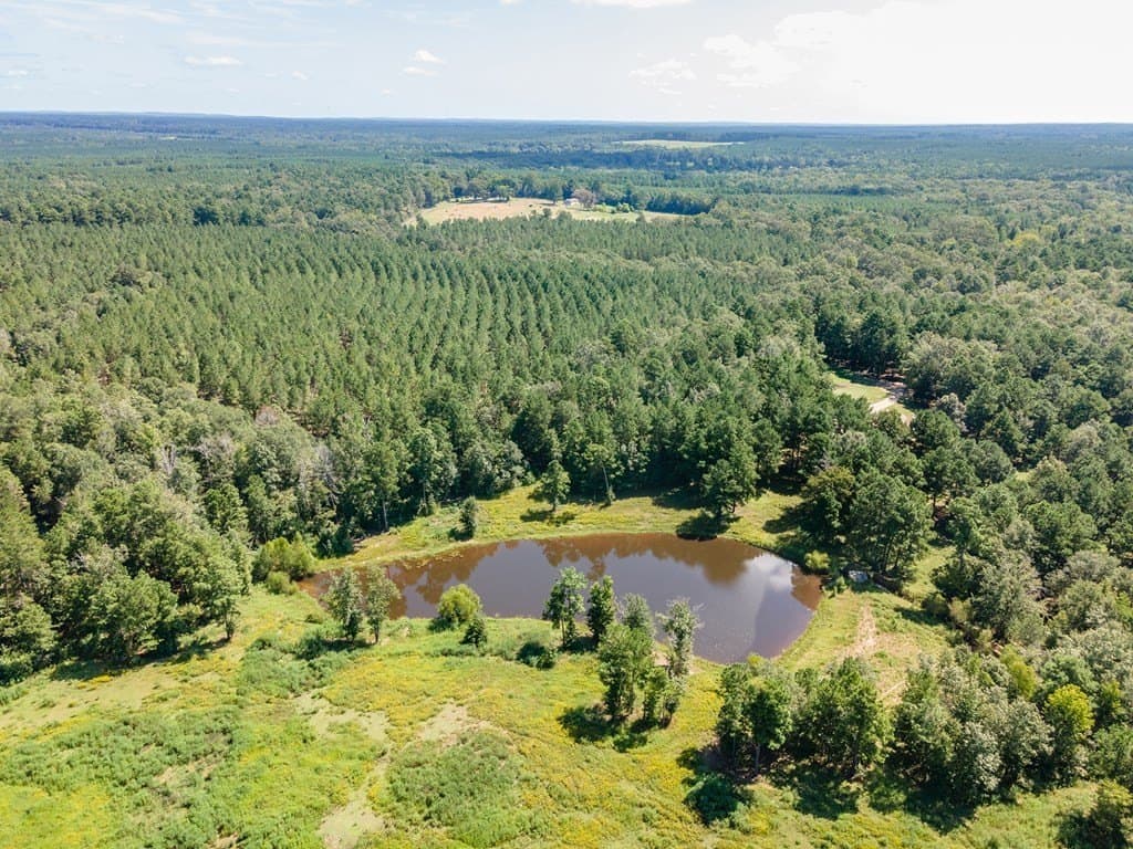 15 acres in Texas County - photo 52