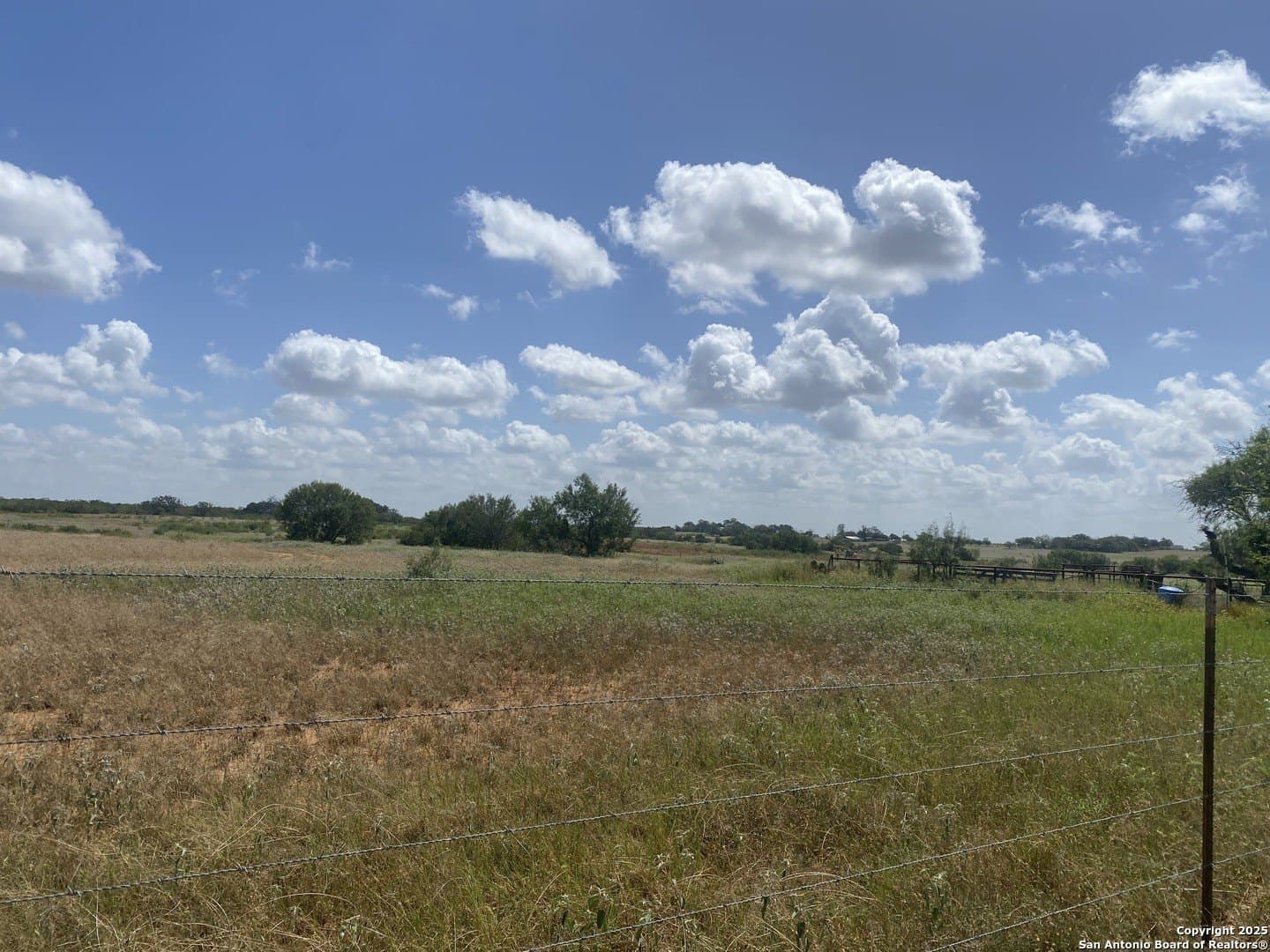 45.05 acres in Atascosa County gallery image 4