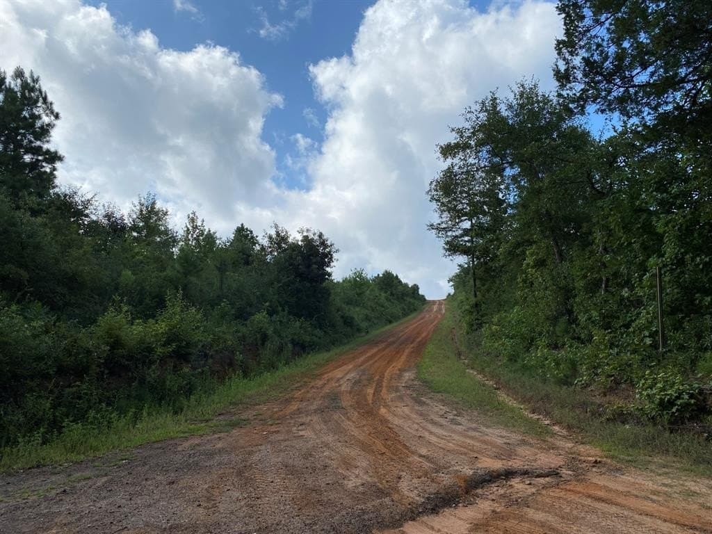 333.85 acres in Rusk County