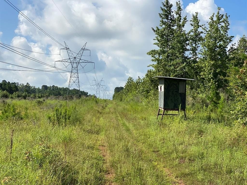 333.85 acres in Rusk County gallery image 3
